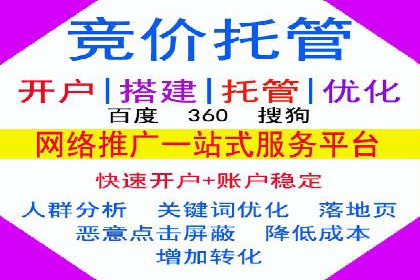 百度竞价代理的运营策略与成功案例分析
